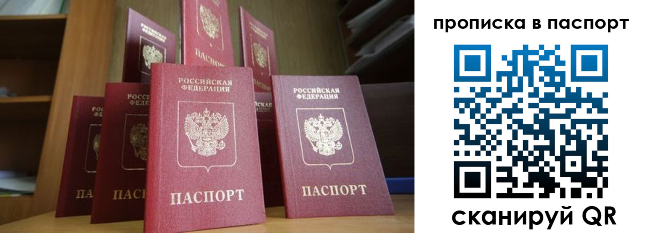прописка законно в Владимирской области