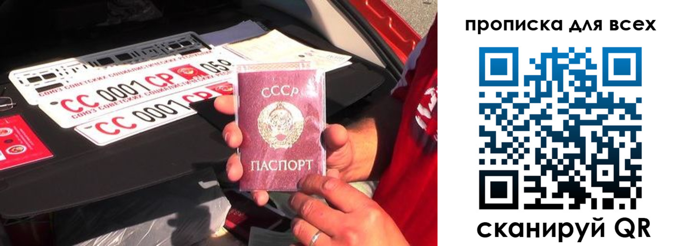 прописка для школы в Владимирской области